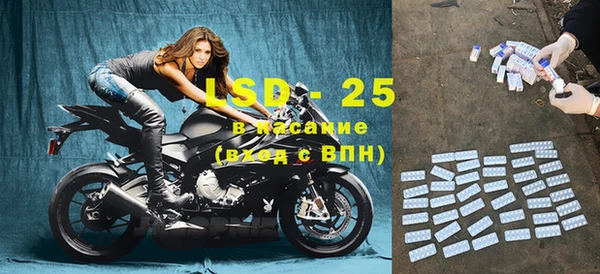 ПСИЛОЦИБИНОВЫЕ ГРИБЫ Тутаев